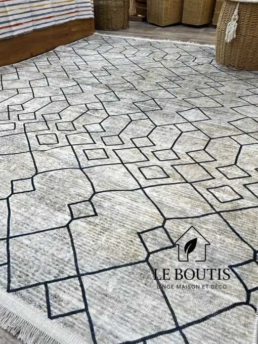 TAPIS VALENCIA, LEGER, 160/210, R703
