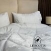COUETTE BLANCHE TEXILA 240/260